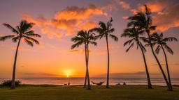 Busca vuelos baratos a Honolulu