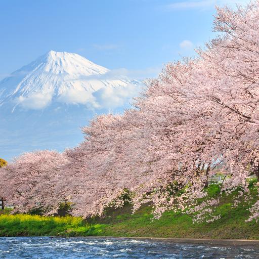Tokio