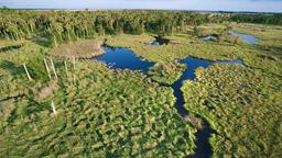 Hoteles en Everglades