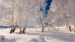 Busca vuelos baratos a Finlandia