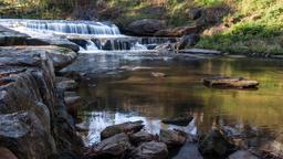 Hoteles cerca de Aeropuerto Pitt-Greenville