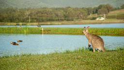 Hoteles en Valle de Hunter