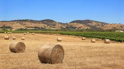 Hoteles en Valle de Barossa
