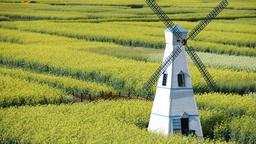 Busca vuelos baratos a China