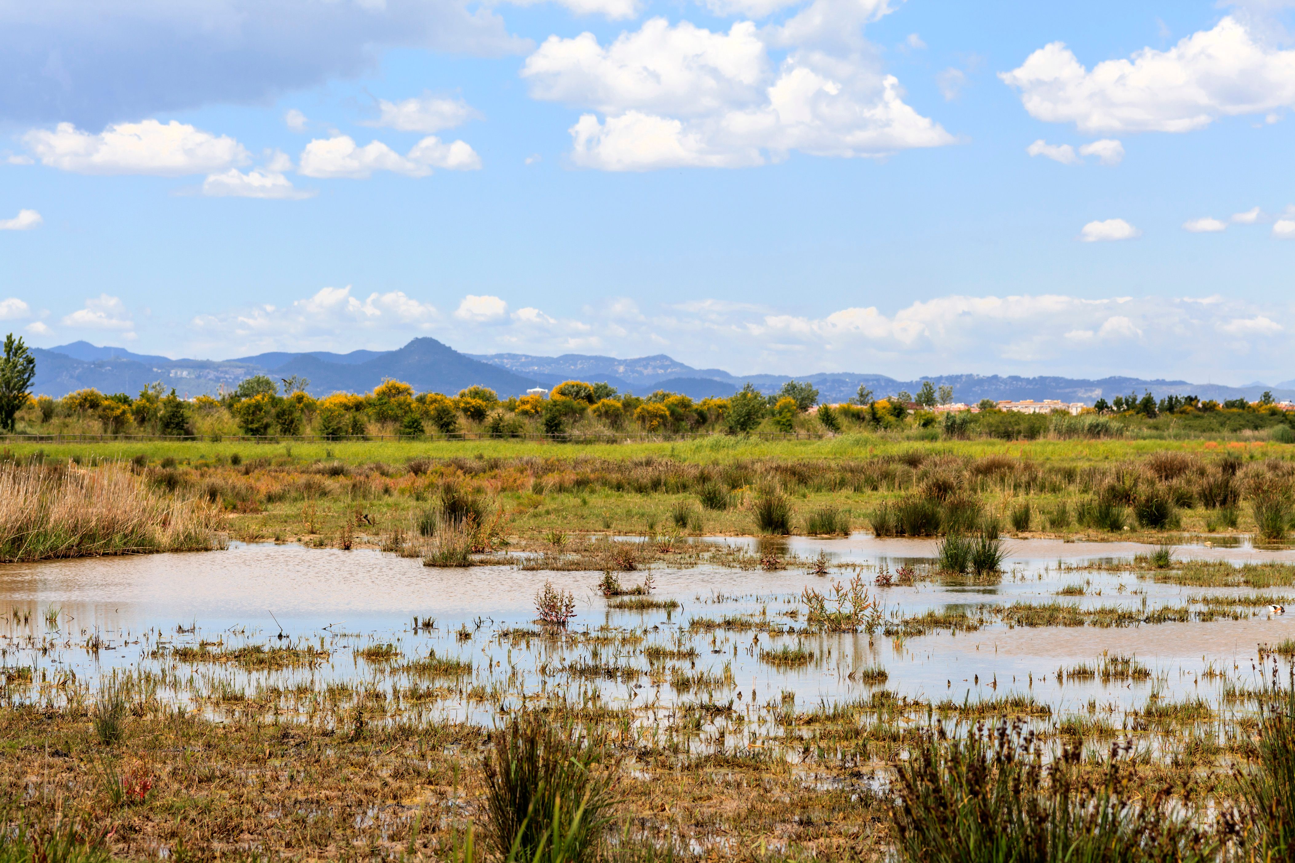 Renta de autos en El Prat de Llobregat