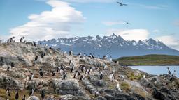 Encuentra vuelos baratos desde Cusco a Ushuaia