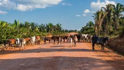 Alquileres vacacionales - Rondonia