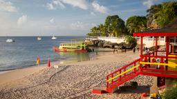 Alquileres vacacionales - Tobago