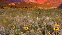 Alquileres vacacionales - Glacier National Park