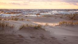 Hoteles en Jersey Shore