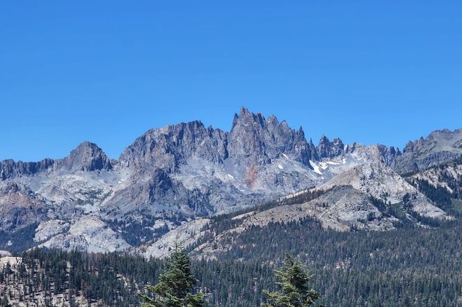 Cinnamon Bear Inn
