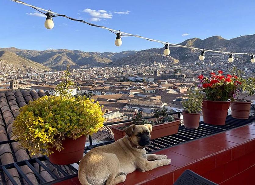Patio Foto