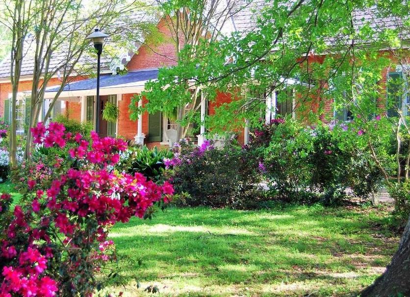 Vista del exterior Foto