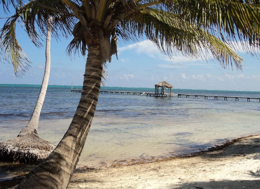 Playa Foto