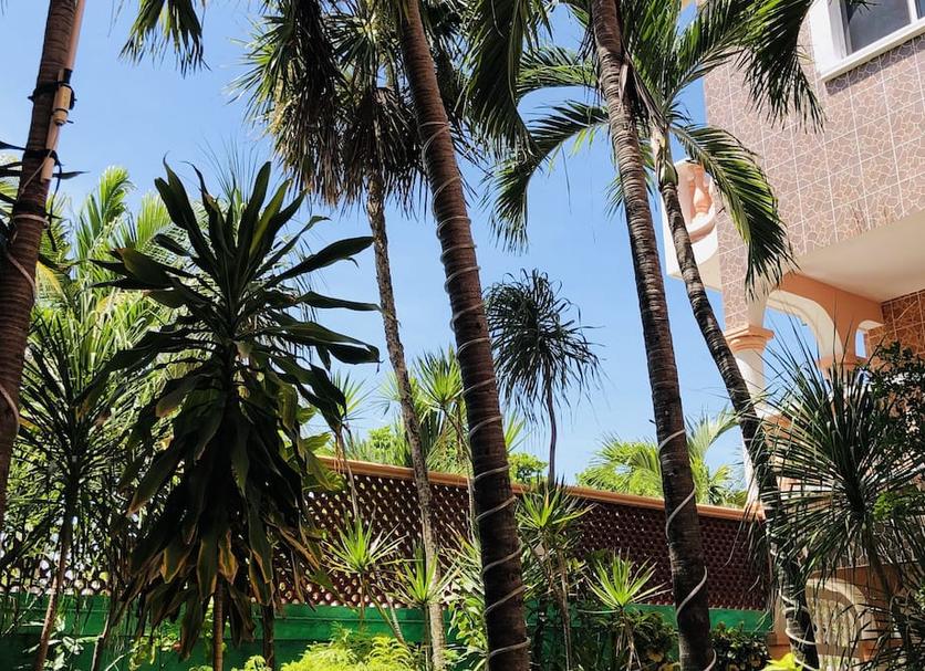 Vista del exterior Foto