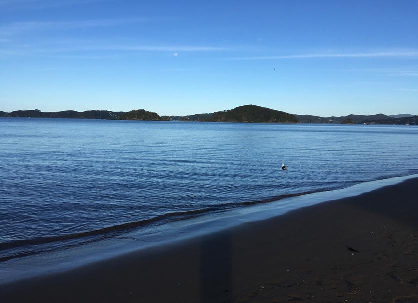 Playa Foto